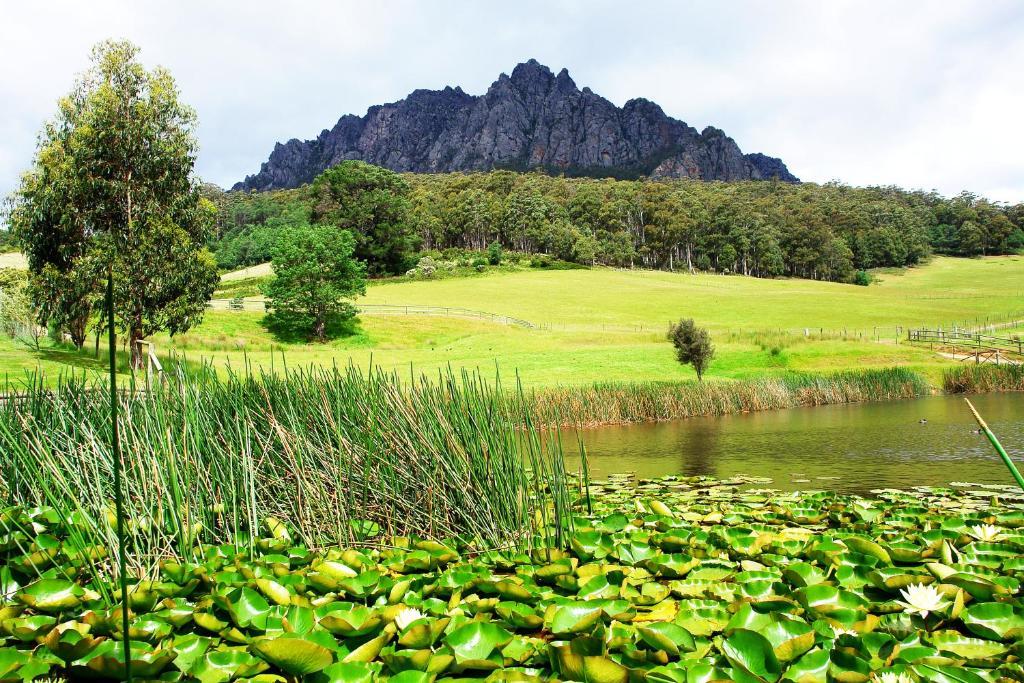 ซิลเวอร์ ริดจ์ รีทรีท Villa เชฟฟิลด์ ห้อง รูปภาพ